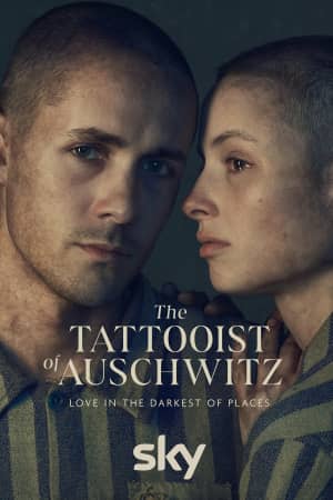 Сериал Татуировщик из Освенцима (2024)