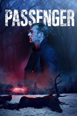 Сериал Пассажир (2024)
